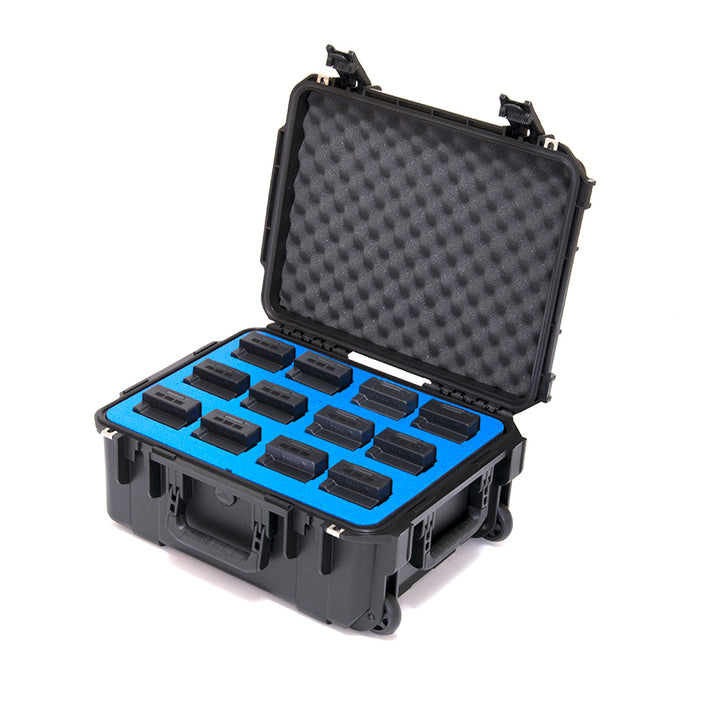 DJI MATRICE 200/210 12 BATTERY CASE